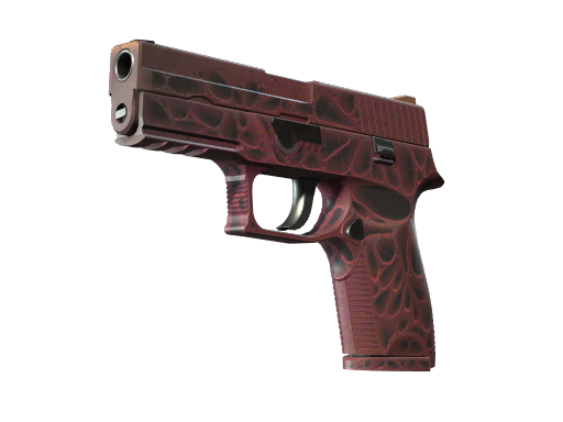 csgo SG553可以改名吗？改名后会贬值吗？