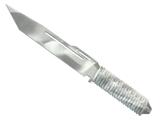 csgo纪念品包可以改名吗？