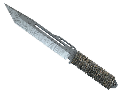 csgo海豹短刀贴纸多会不会加价？海豹短刀无贴纸和多贴纸哪个好？